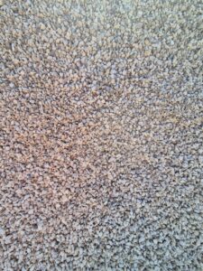GRAVILLON 10/20 CALCAIRE ORLEANS BEIGE