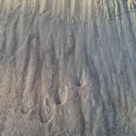 SABLE 0/2 INDRE JAUNE