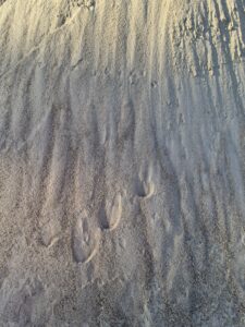 SABLE 0/2 INDRE JAUNE