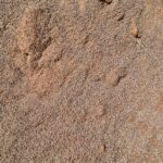 SABLE 0/4 ROUGE ROUGE