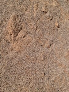 SABLE 0/4 ROUGE ROUGE